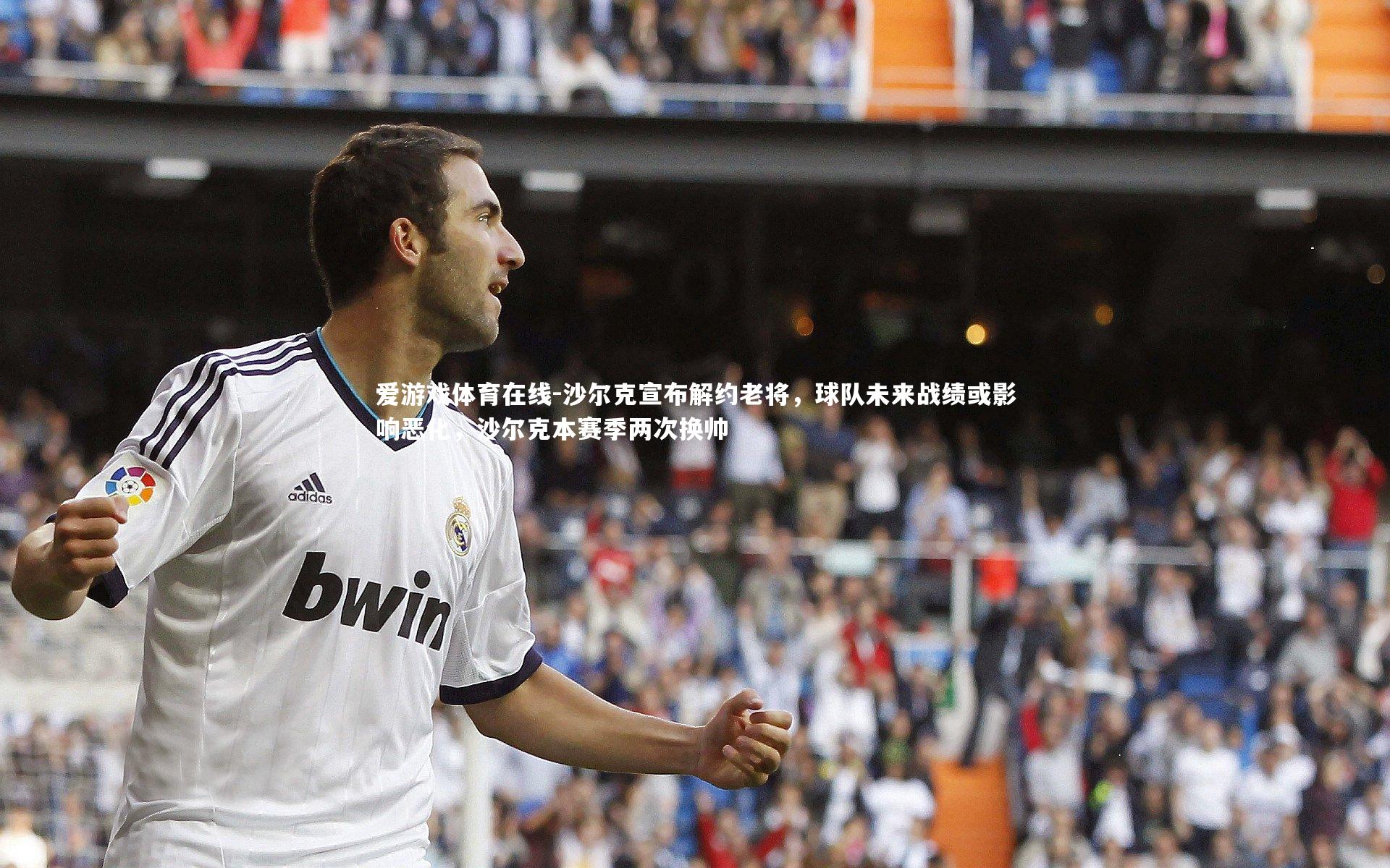 沙尔克宣布解约老将，球队未来战绩或影响恶化，沙尔克本赛季两次换帅
