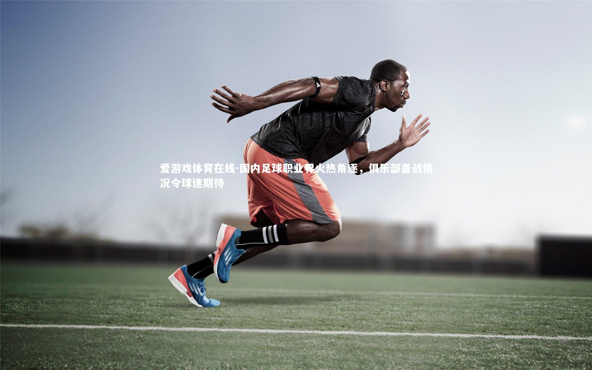 国内足球职业界火热角逐，俱乐部备战情况令球迷期待